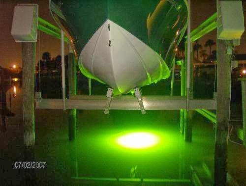 Warfield Electric - Visual