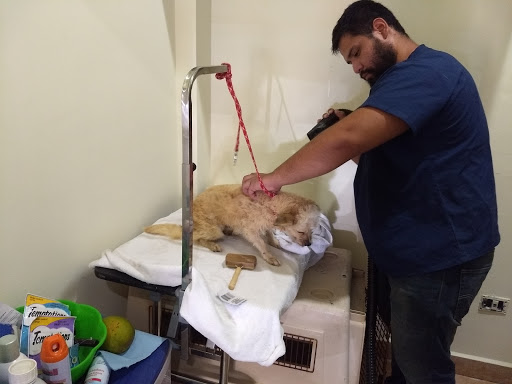 Fierito's Vet Clinic