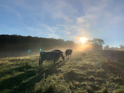 Fresh Start Farm 250 E Dark Hollow Rd, Pipersville, PA 18947