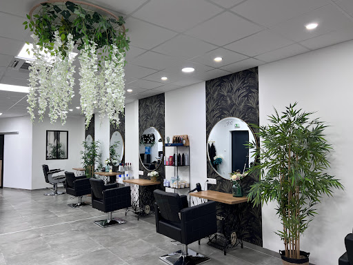 Salon Structure - Visual