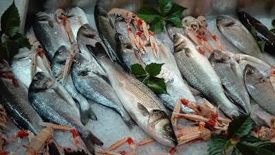 Photos of Trattoria dalla Nonna
