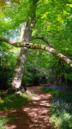 Medmenham Camp Iron Age Hill Fort - Thumbnail