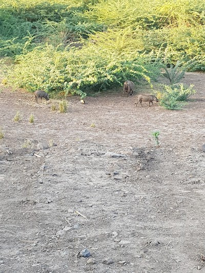 photo of Aledeghi Wildlife Reserve