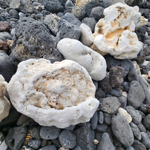 ‘Āhihi-Kīna‘U Natural Area Reserve - Thumbnail