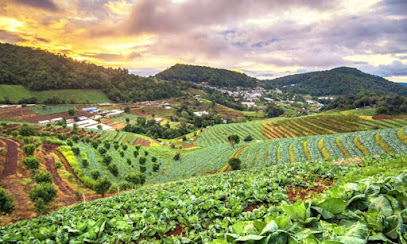 PLANET AGRIBUSINESS CM