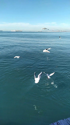 Opinii despre Όμιλος în Θεσσαλονίκη - Νυχτερινό κέντρο