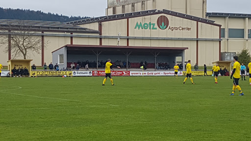 FV Dittenheim - Visual