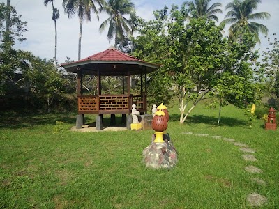 Photos of Transito Hotel