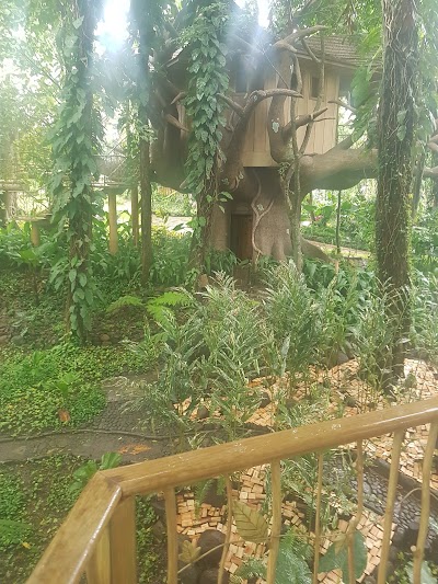Photos of Irtra Xejuyup