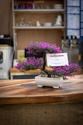 Photo n°20 de Camping clos rose marie à Hyères (Restaurant)