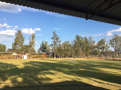 Deportivo R.E.A