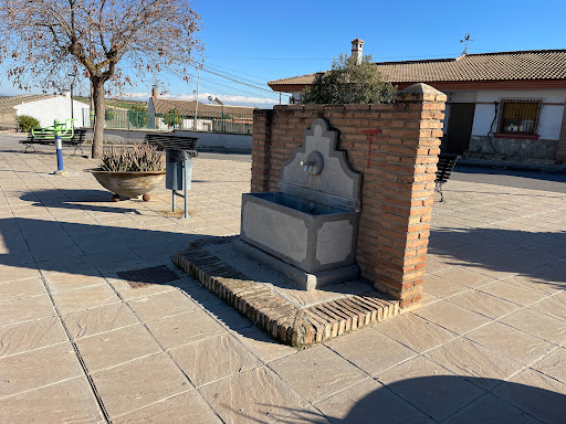 Fuente Brácana
