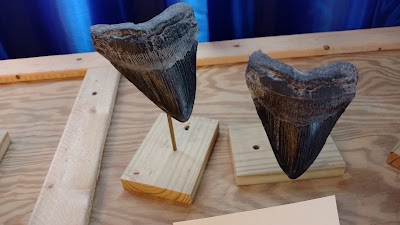 Photos of Port Huron Museum