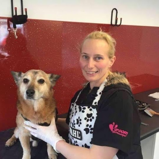 Hair & Hound Dog & Cat Grooming Spa