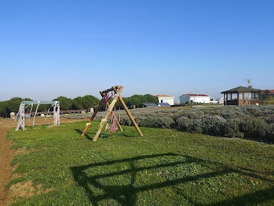 TÜRAM-Silivri Belediyesi Tarımsal Üretim Ve Araştırma Merkezi