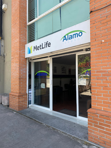 Alamo Seguros | MetLife Acueducto - Mexico