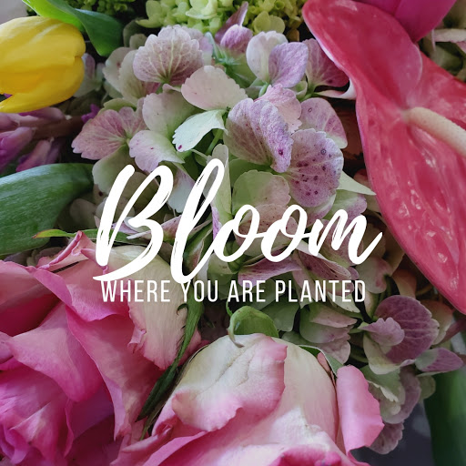 Send Flowers Here.com - Visual