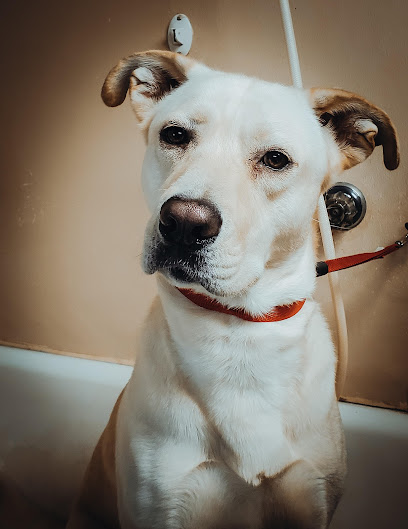 Fargo Boarding & Grooming