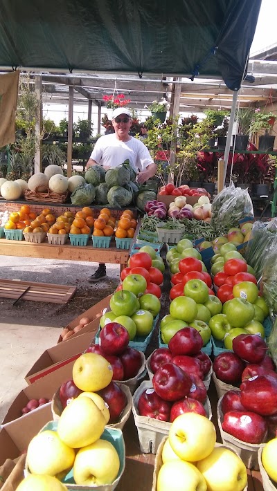 Photos of Jacksonville Farmers Market