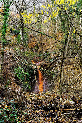Le Roste - Visual