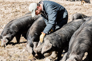 Photo n°2 de Les Rustics d'Orgeval à Pralognan-la-Vanoise (Ferme d'élevage)