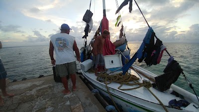 Photos of Carrie Bow Cay Field Station