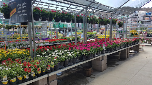 AJ's Greenhouse Nursery - Thumbnail