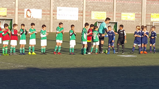 Campo de Futbol Pancho Ramirez