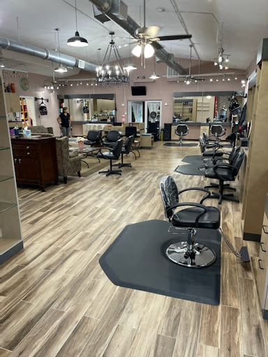 Bay Area Salon - Thumbnail