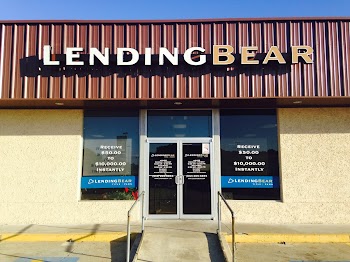 Lending Bear photo