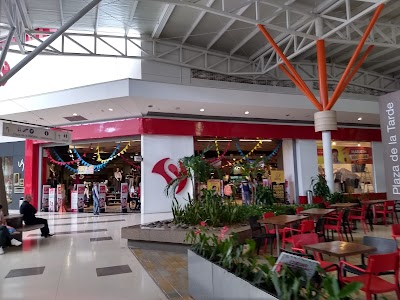 Photos of Flamingo
