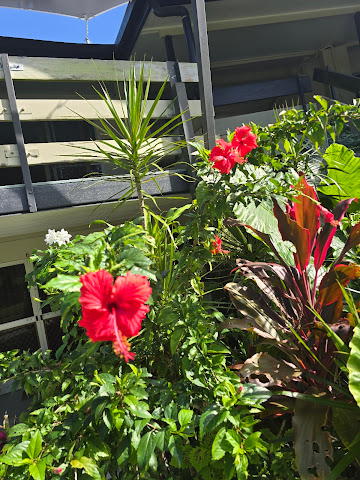 Bramston Beach Resort by null