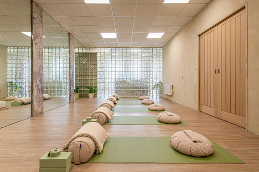 The Moment Wellness Studio