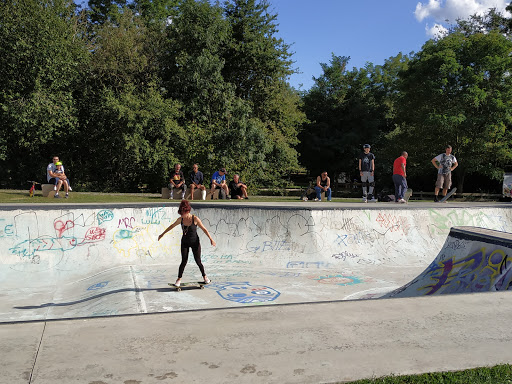 Bowl Skatepark - Thumbnail