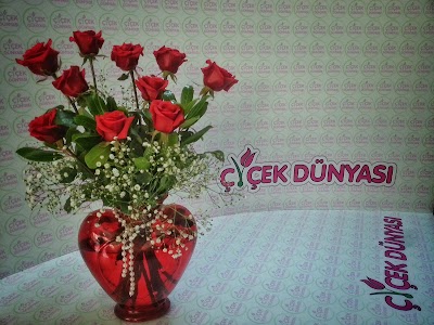 Photos of PERGAMUM WORLD OF FLOWERS
