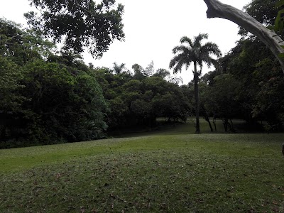 Photos of Frenchman's Cove Resort