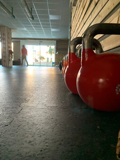 EVOLUTION REAL TRAINING - Visual
