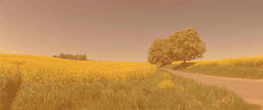 Bürgerstiftung der VR Bank Mecklenburg eG - Germany