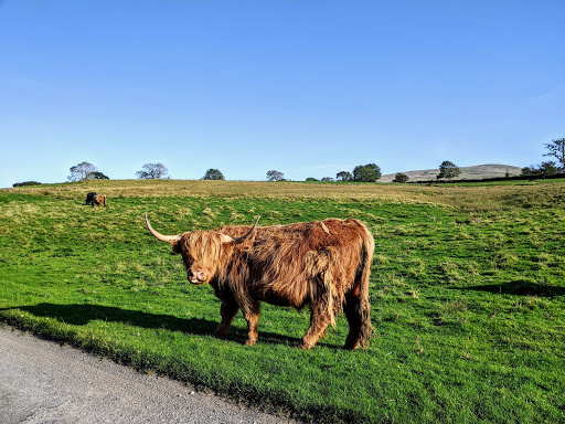 Caldbeck Glamping Barns & Bothy - Thumbnail
