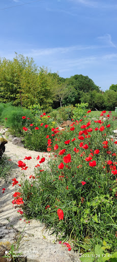 Jardins du Vieux Moulin - Thumbnail