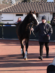 Photo n°3 de Haras d'La Riviere à Saint-Quentin-de-Blavou (Éleveur de chevaux)