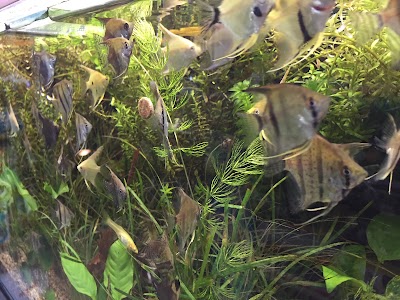 Photos of Nemo Pet Shop