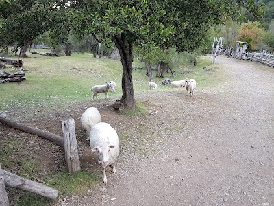 Photos of Refugio Caj&oacute;n del Azul
