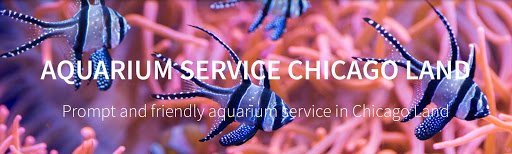 Expert Aquarium Service