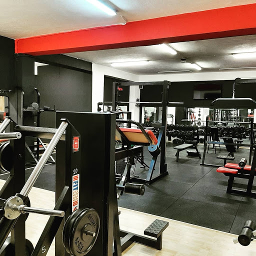 ROYAL FITNESS A.S.D. di Giuseppe Fogà - Thumbnail