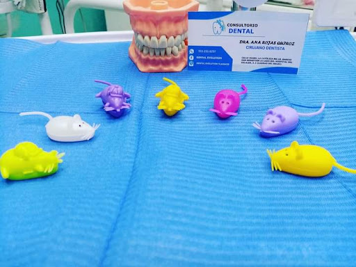 Dental Evolución Gallery - Mexico