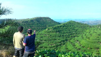 photo of Bukit Indah Hill