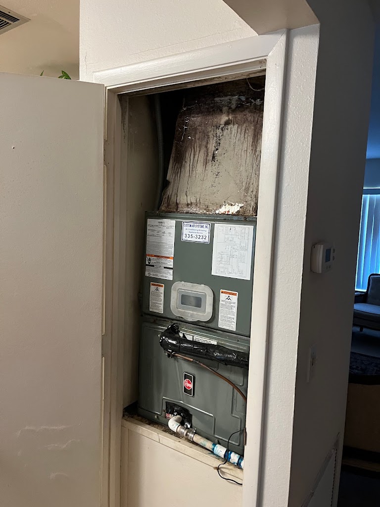 Mold Remediation Specialists photo