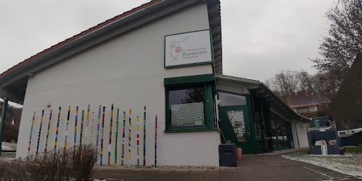 Ev. Kindergarten Pusteblume - Thumbnail