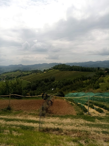 Podere La Casetta - Visual